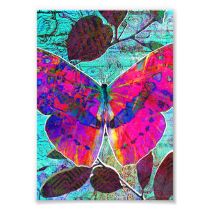 Foto Abstrato, Rosa Quente e Borboleta Botânica Aqua