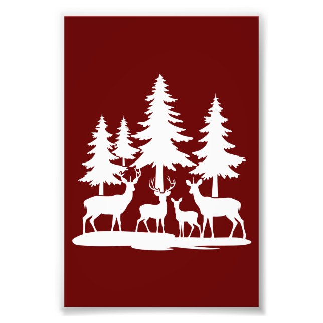 Foto Acampamento Engraçado de Pinheiros-Pinheiros-Verõe (Frente)