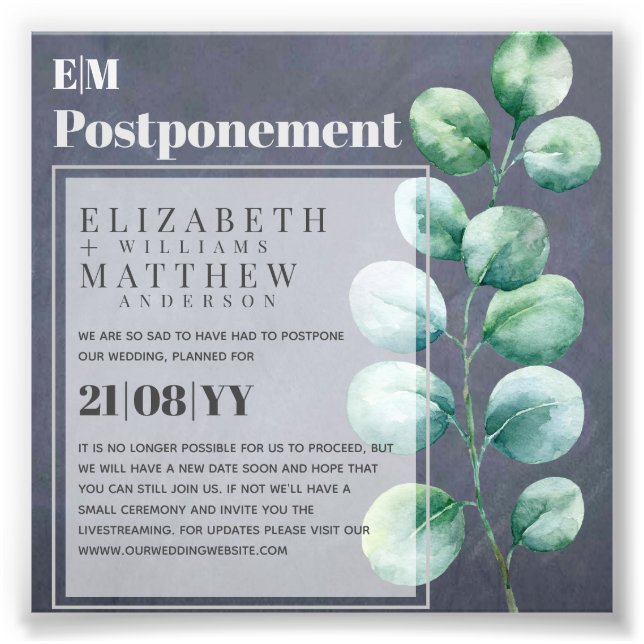 Foto Adiamento da Mudança de Planos Eucalyptus Greenery (Frente)