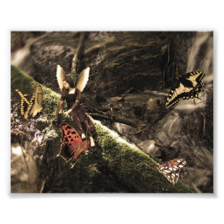 Foto Adorável Borboleta Natureza Fada