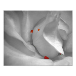 Foto Aeolian Watercolor Photo Impressão