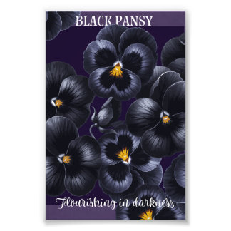 Foto Afirmação das Flores Negras Escuras