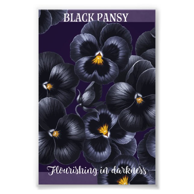 Foto Afirmação das Flores Negras Escuras (Frente)