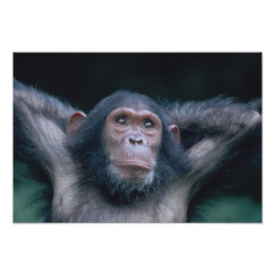 Foto África, África Oriental, Tanzânia, Parque Nacional
