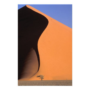 Foto África, Namíbia, Luz da tarde nas dunas,