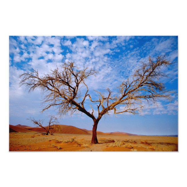 Foto África, Namíbia, Parque Nacional Naukluft, (Frente)