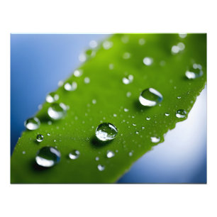 Foto Água cai nas folhas