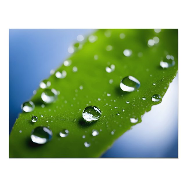 Foto Água cai nas folhas (Frente)