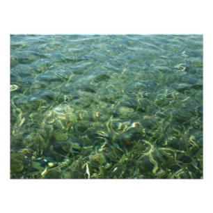 Foto Água sobre Grama Marinha I Natureza Caribenha