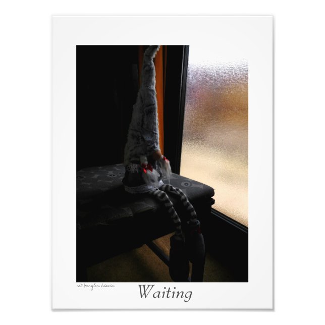 Foto Aguardando (Frente)