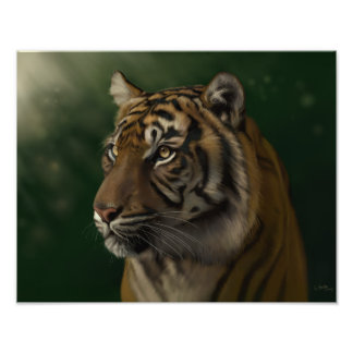 Foto Aguardando o amanhecer - Gretchen Bartz