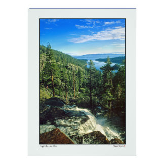 Foto Águia Cai Sobre O Lago Tahoe