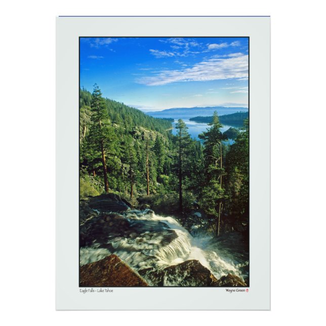 Foto Águia Cai Sobre O Lago Tahoe (Frente)