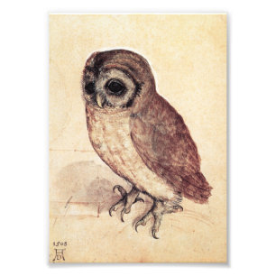 Foto Albrecht Durer o impressão da coruja pequena