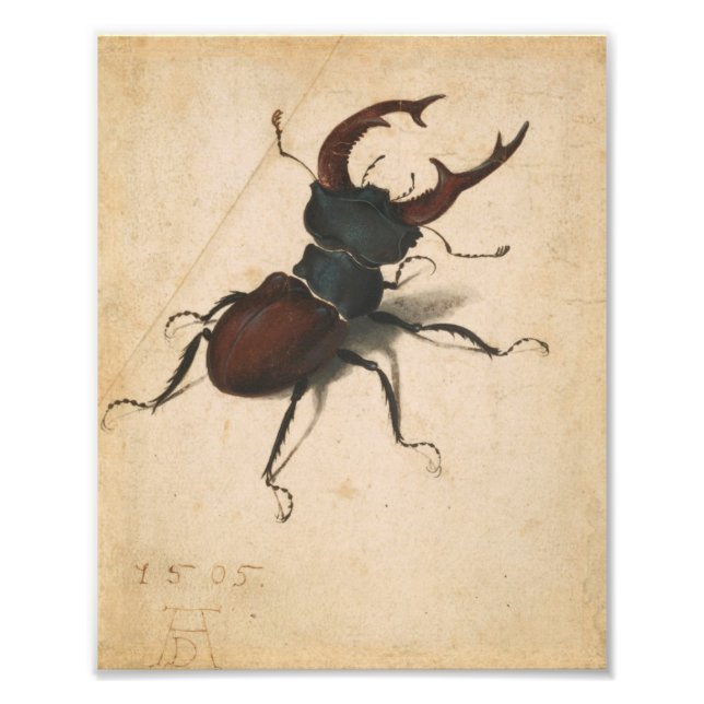 Foto Albrecht Durer Stag Beetle Renaissance Vintage Art (Frente)