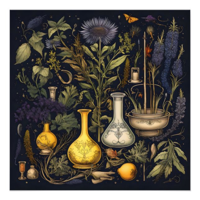 Foto Alchemy Magic Herbs (Frente)