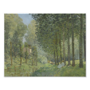 Foto Alfred Sisley - resto ao longo do córrego
