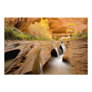 Foto Algodões no Outono, Coyote Gulch, Glen