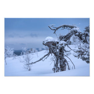 Foto Alienígena de madeira no inverno