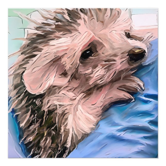 Foto alimentando um pequeno e órfão ouriço bebê (Frente)