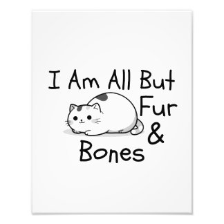 Foto All But Fur & Bones Funny Cat Pun