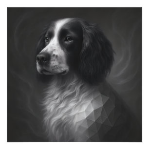 Foto Alma Fiel – Geometria do Springer Spaniel