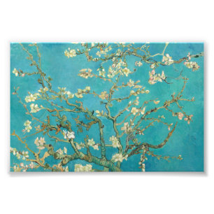 Foto Almond Blossom por Vincent van Gogh