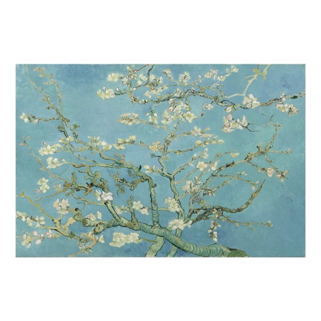 Foto Almond Blossoms por Vincent van Gogh (Frente)