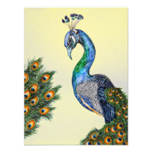 Amarelo Peacock de Aquarela Elegante