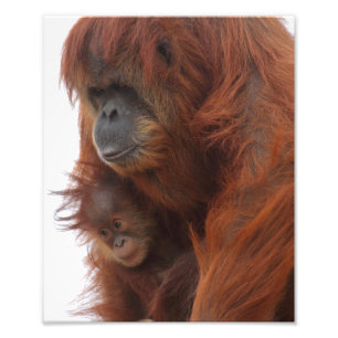 Foto Ame-me para sempre Mama