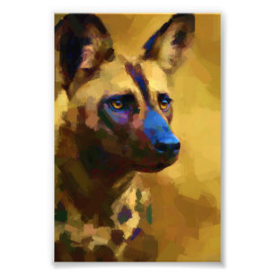 Foto Ame o Cão Selvagem Africano