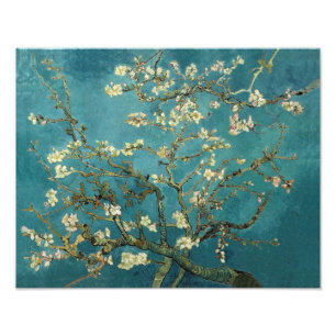 Foto Amendoeira em Flor - Van Gogh