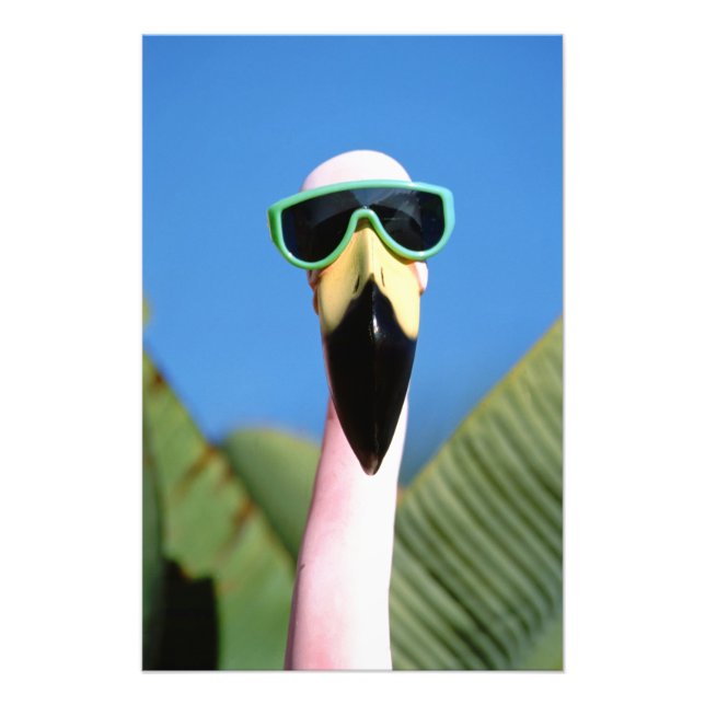 Foto América do Norte, EUA, Califórnia, San Diego. Mar (Frente)