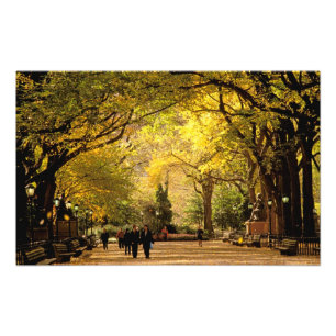 Foto América do Norte, EUA, Nova York, Cidade de Nova Y