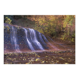 Foto América do Norte, EUA, Utah, Zion National Park. 2