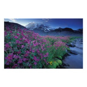 Foto América do Norte, EUA, Washington, Mt. Rainier 6