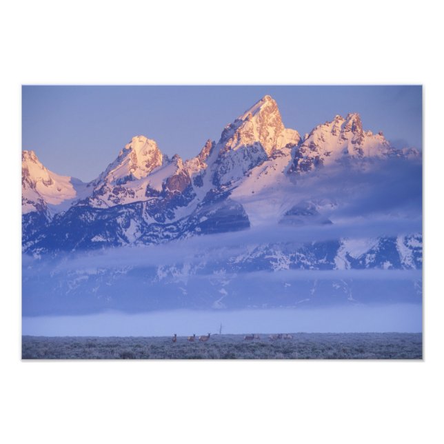 Foto América do Norte, EUA, Wyoming, Grand Teton NP, 2 (Frente)