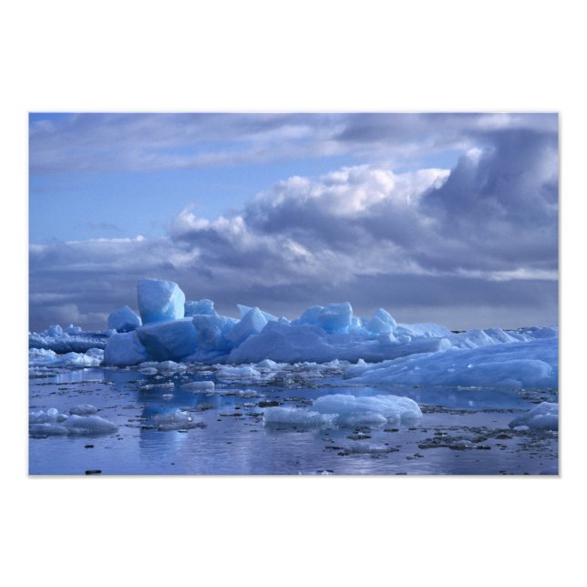 Foto América do Sul, Chile, San Rafael Lagoon NP. (Frente)