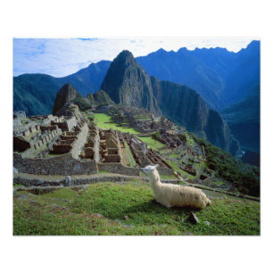 Foto América do Sul, Peru. Uma lhama descansa em uma co