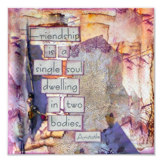 Foto Amigo Cotação Amizade É Uma Alma Solteiro (Frente)