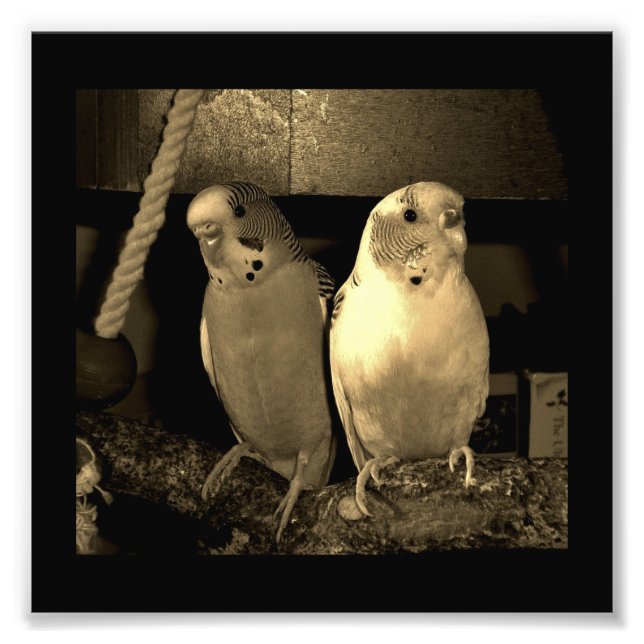 Foto Amigos (Frente)