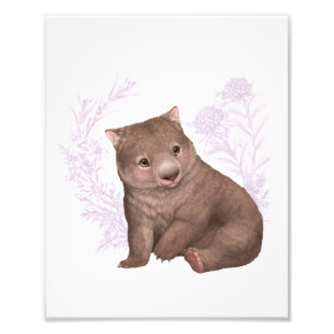 Foto Amigos australianos pequenos - Wombat - coloridos