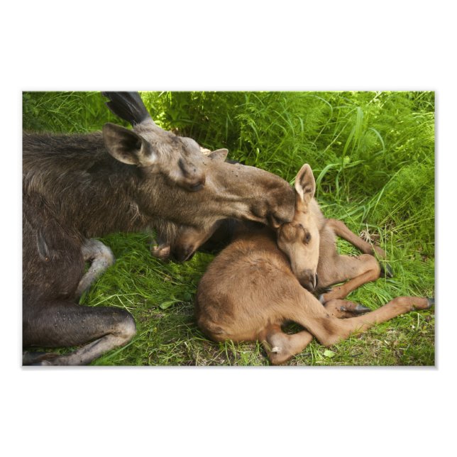 Foto Amor de Mãe (Frente)