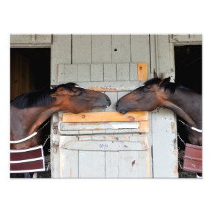 Foto Amor de Saratoga