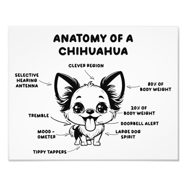 Foto Anatomia de um Impressão de cachorro Chihuahua eng (Frente)