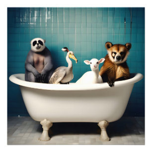 Foto Animais engraçados no banheiro