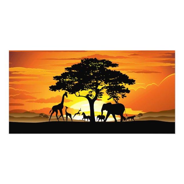 Foto Animais Selvagens no Sunset da savana africana (Frente)