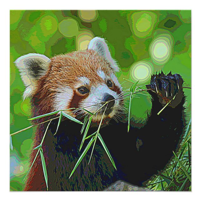 Foto AnimalPaint_RedPanda_20171201_by_JAMColors (Frente)