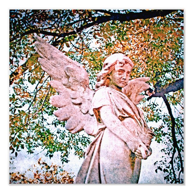 Foto Anjo Graça (Frente)