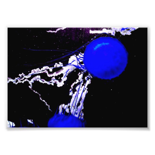 Foto "Anjos Azuis" (Frente)